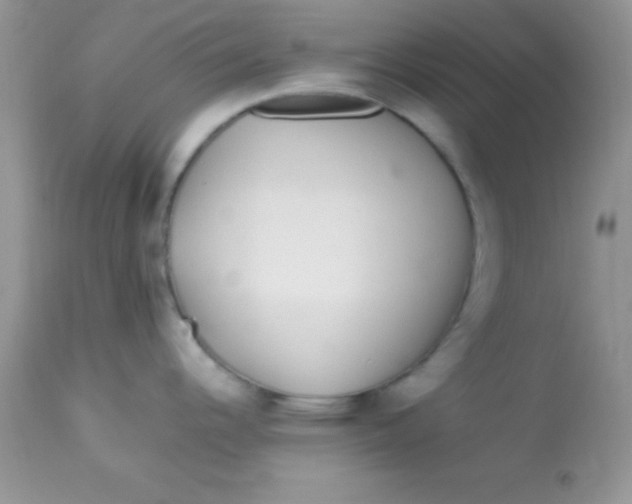 X0000113071344200909182016