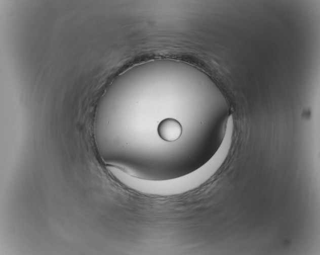 X0000113071345200909182015