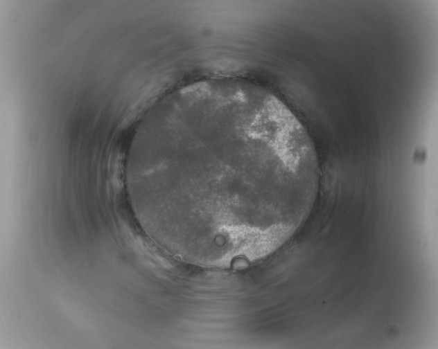 X0000113071346200909182015