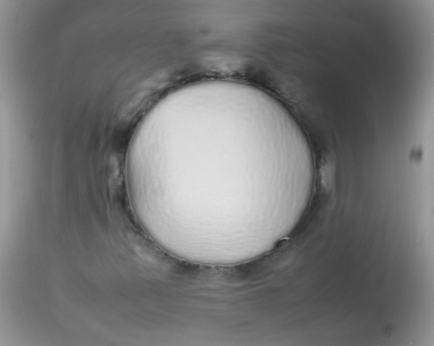 X0000113071347200909182015