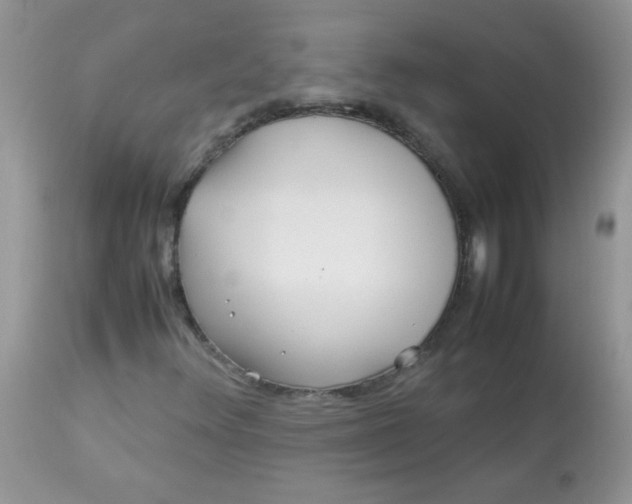 X0000113071348200909182015