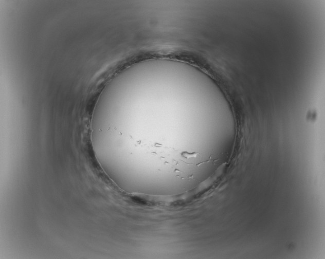 X0000113071349200909182015