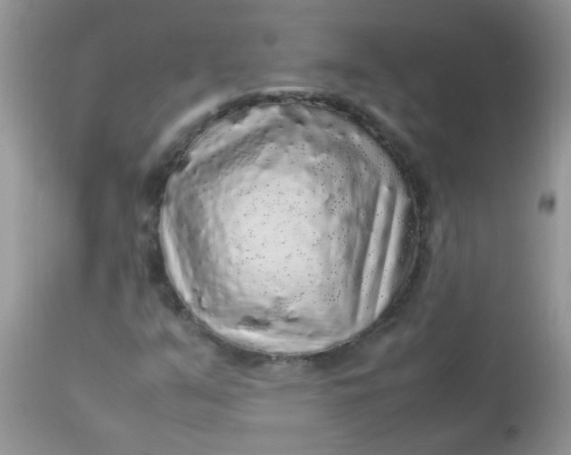 X0000113071351200909182015