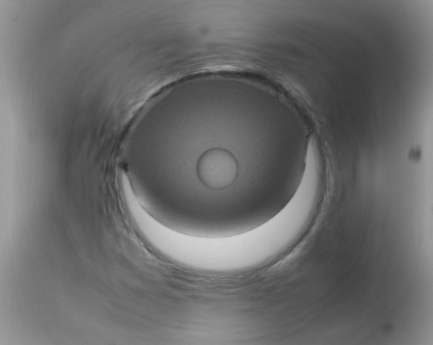 X0000113071353200909182015