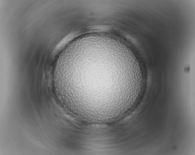 X0000113071354200909182015