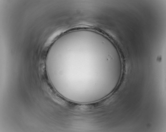 X0000113071355200909182015