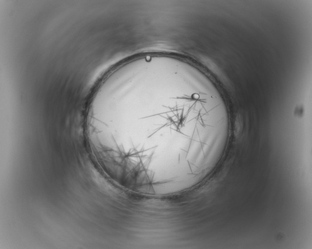 X0000113071356200909182015