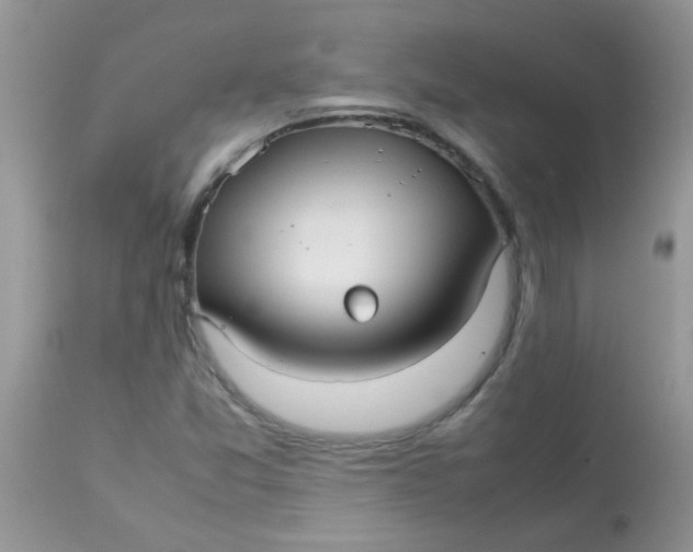 X0000113071357200909182015