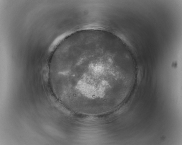 X0000113071358200909182015