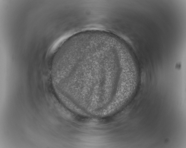 X0000113071359200909182015