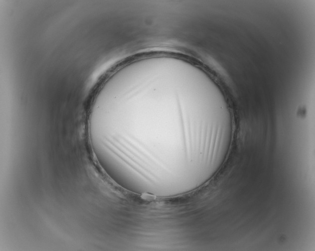 X0000113071360200909182015