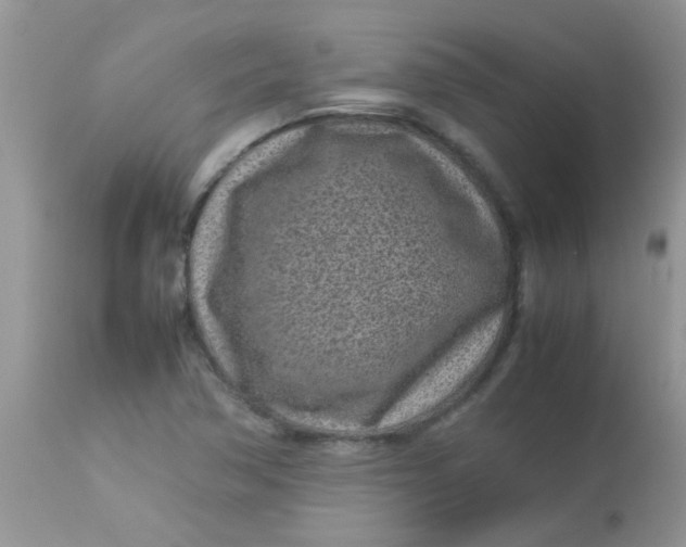 X0000113071362200909182015