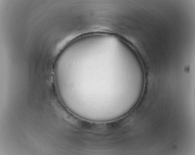 X0000113071363200909182015