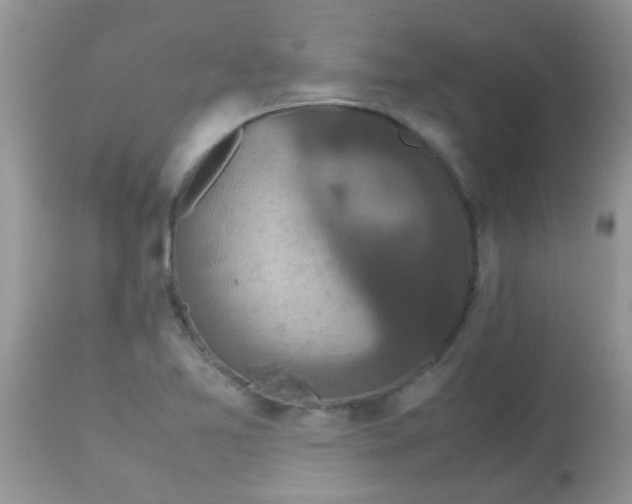 X0000113071365200909182015