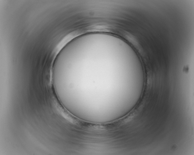 X0000113071370200909182014