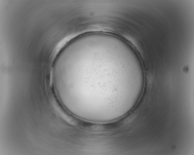 X0000113071371200909182014