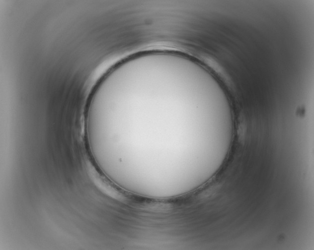 X0000113071372200909182014