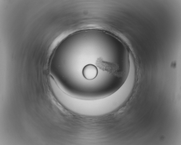 X0000113071373200909182014