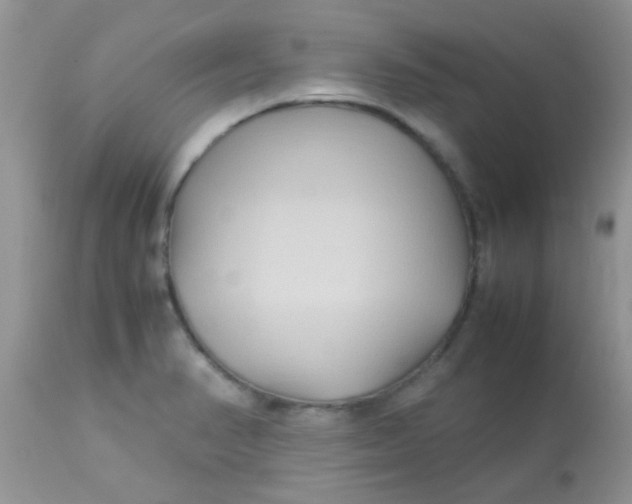 X0000113071374200909182014