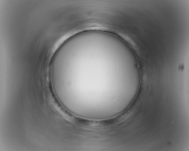 X0000113071375200909182014