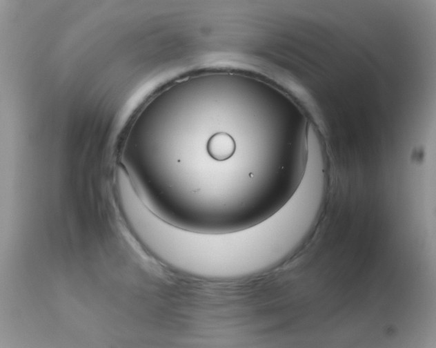 X0000113071376200909182014