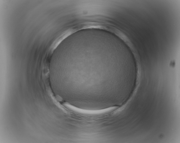 X0000113071377200909182014