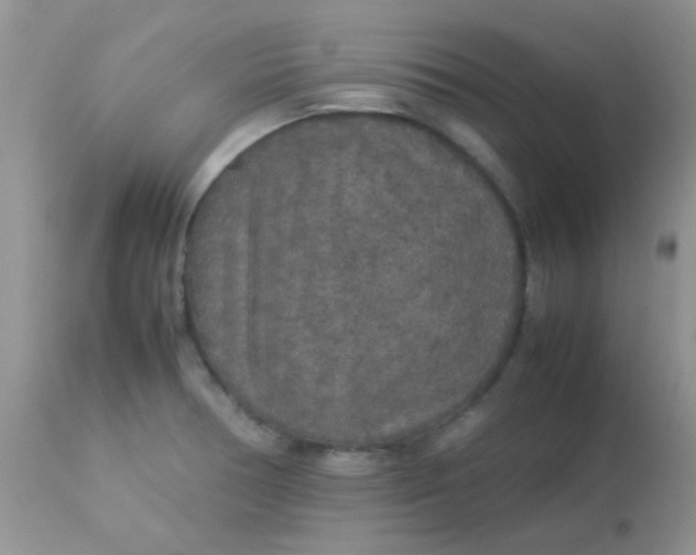 X0000113071378200909182014