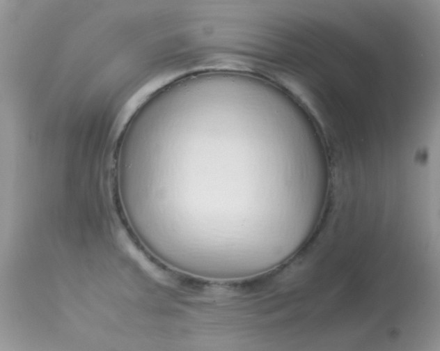 X0000113071379200909182014