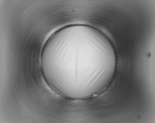 X0000113071380200909182014