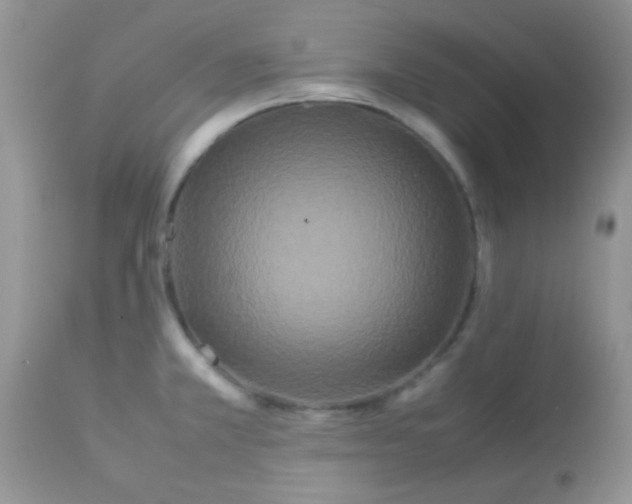 X0000113071381200909182014