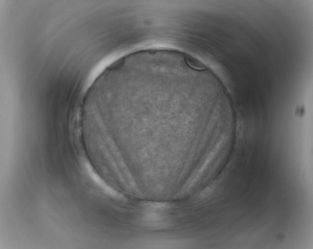 X0000113071382200909182014