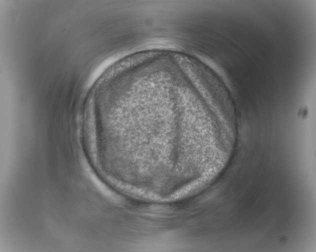 X0000113071383200909182014