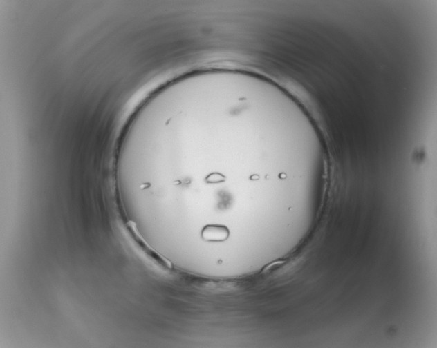 X0000113071384200909182014