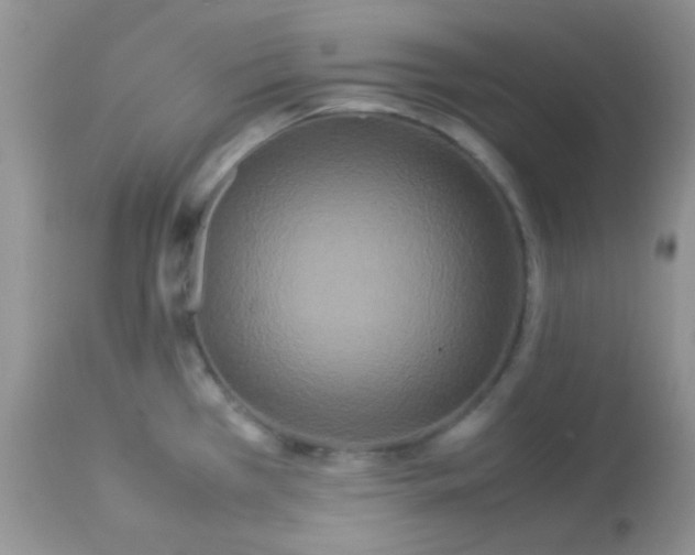 X0000113071385200909182014