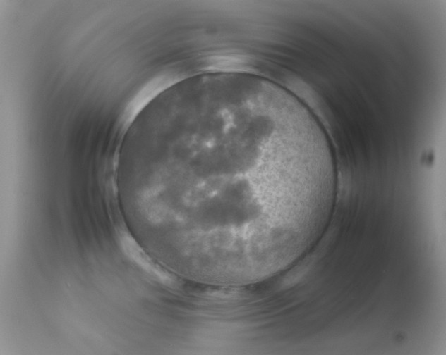 X0000113071386200909182014