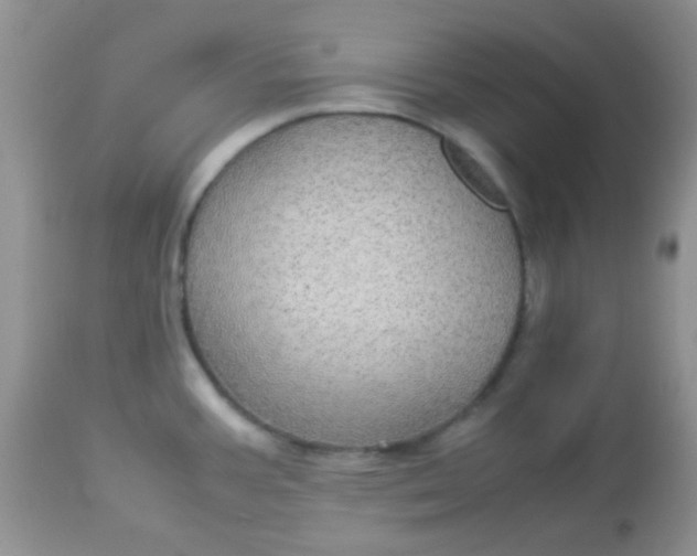 X0000113071387200909182014