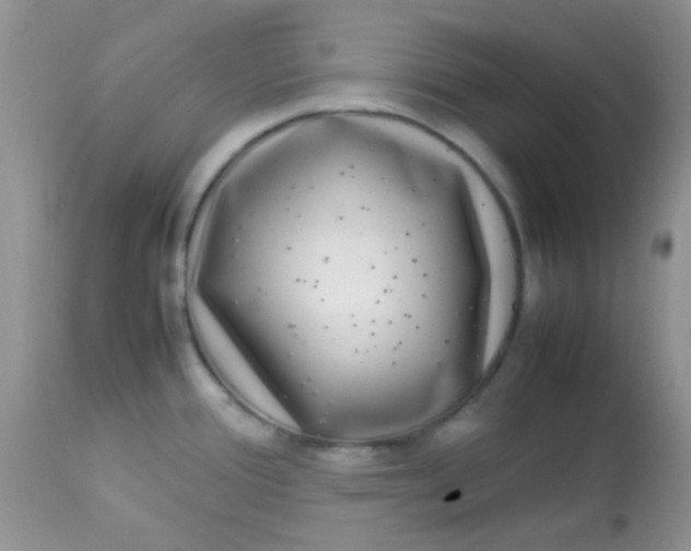 X0000113071388200909182014