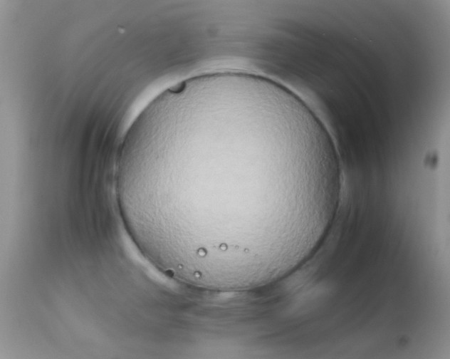 X0000113071390200909182014