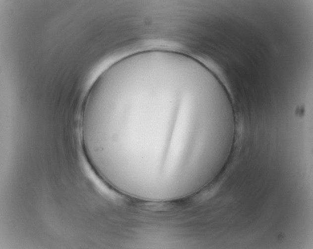 X0000113071391200909182014