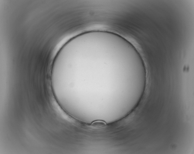 X0000113071392200909182014