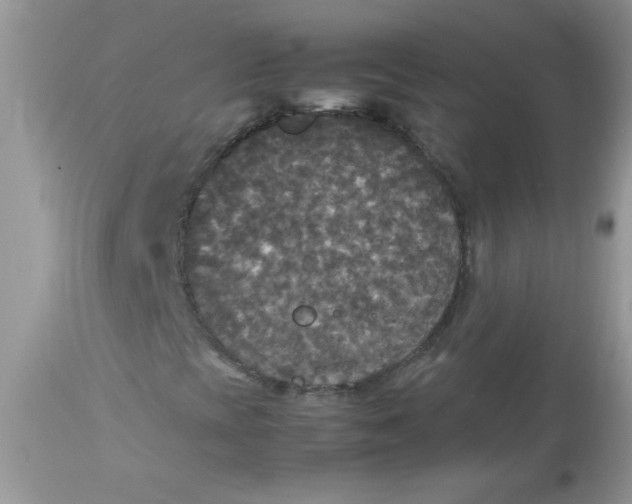 X0000113071393200909182013