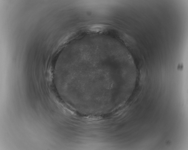 X0000113071394200909182013