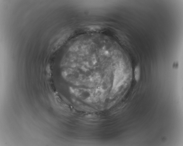 X0000113071395200909182013