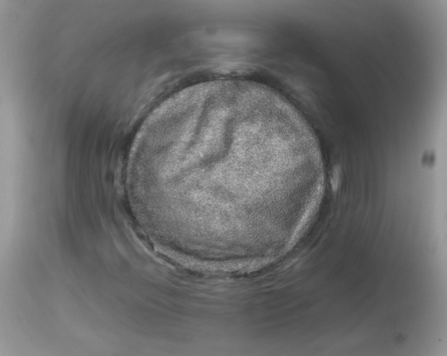 X0000113071396200909182013