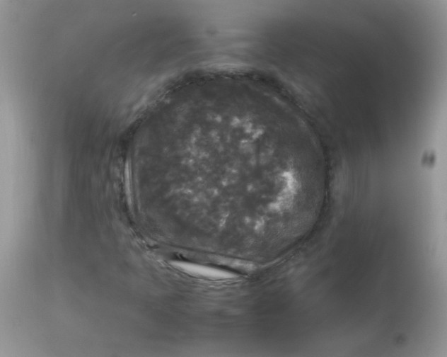 X0000113071397200909182013