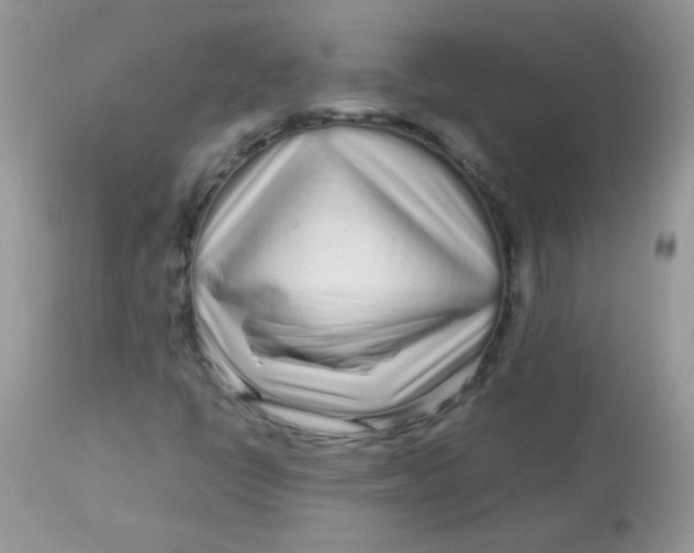 X0000113071398200909182013