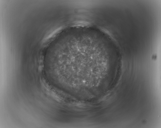 X0000113071399200909182013