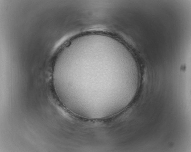 X0000113071400200909182013