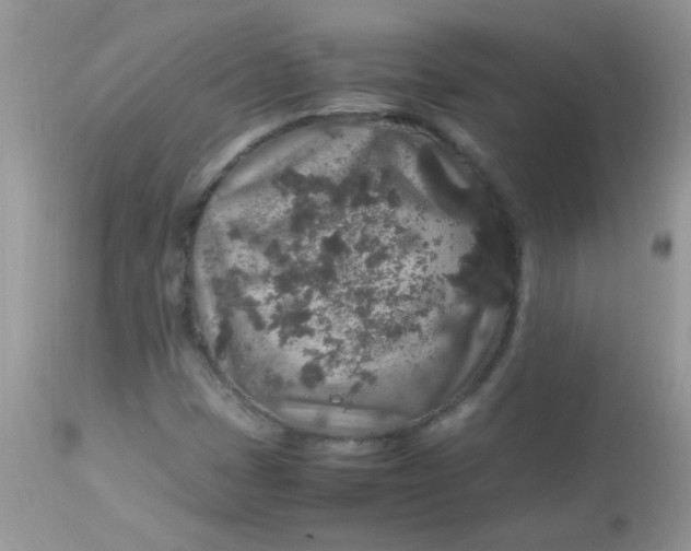 X0000113071401200909182013