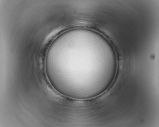 X0000113071402200909182013